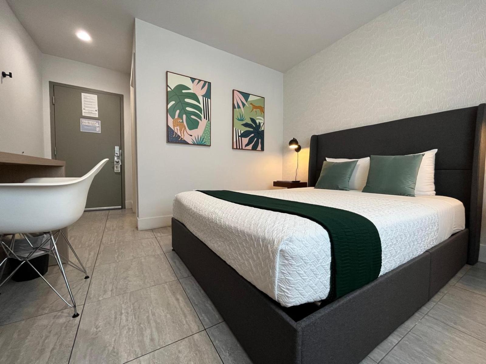 Habitación Estándar - 1 cama grande