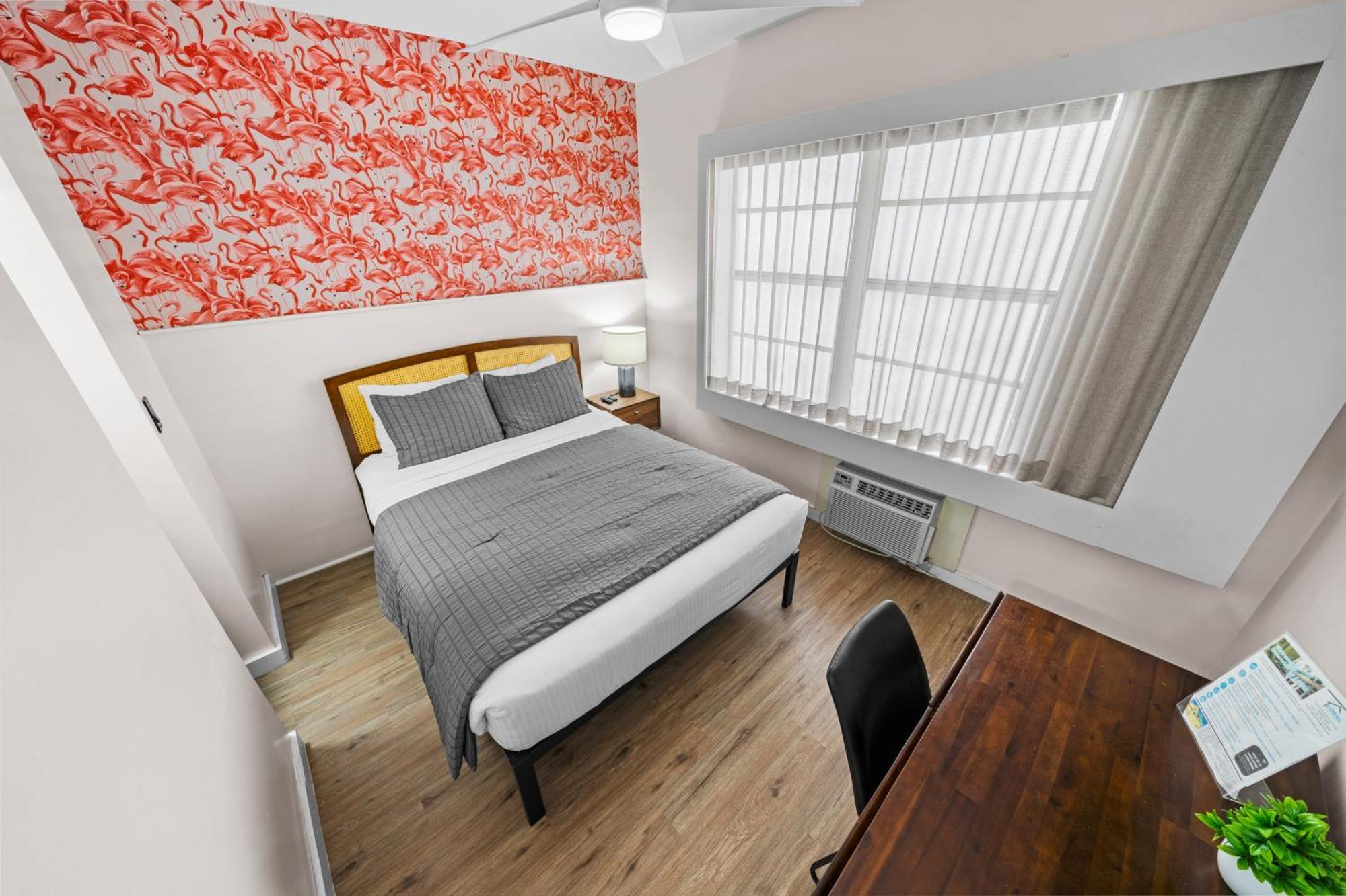 Habitación Estándar - 1 cama grande