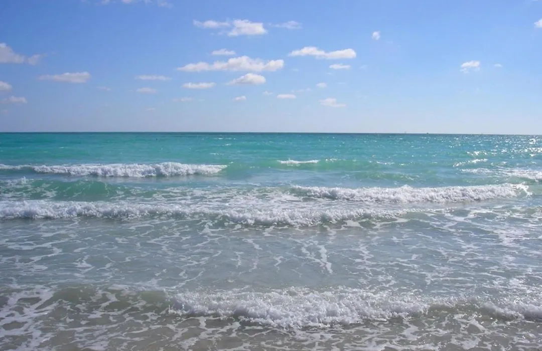 Miami Beach Suite By The Ocean And Boardwalk-1