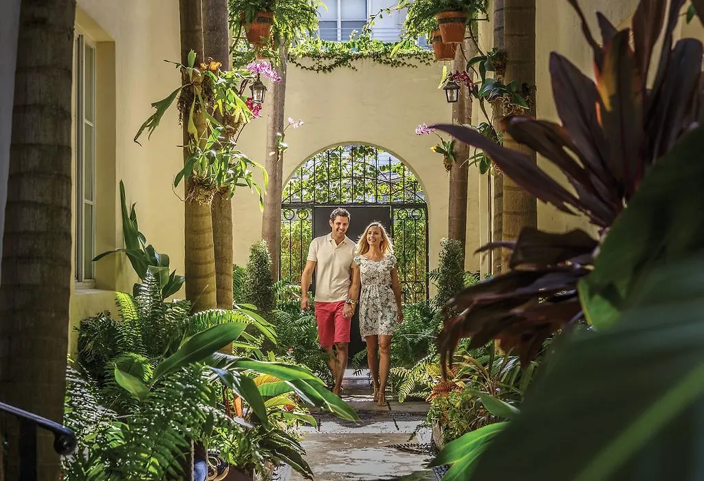 Orchid House-1