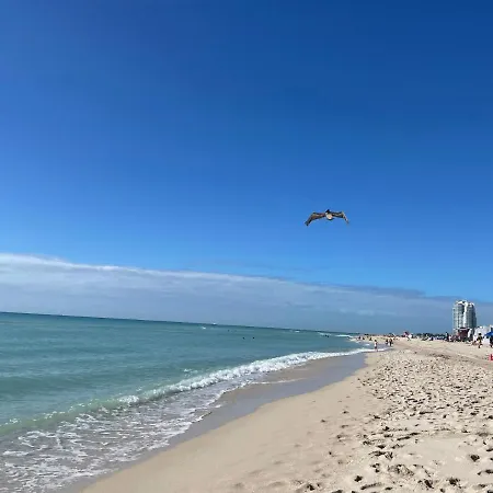 Beachfront Apt In Carlyle Hotel On Ocean Drive-2