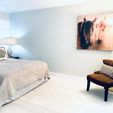 Ocean View Stylish 1Br 1Ba Beach Condo+Parking-2