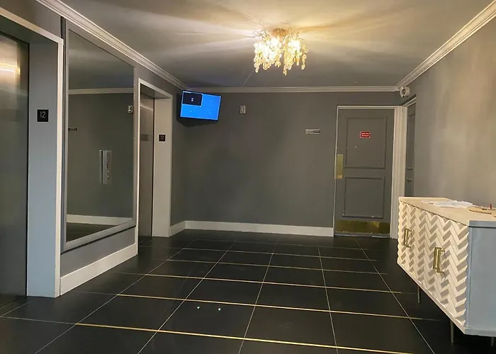 Alexander Suites Ocean View Miami Beach che accetta animali