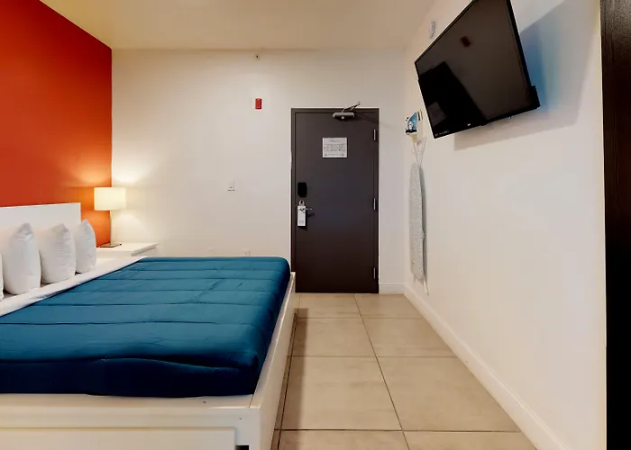 Miami Beach International Hostel admite animales