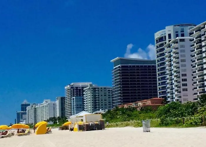 Casablanca Private Suite With Direct Beach Access Miami Beach che accetta animali