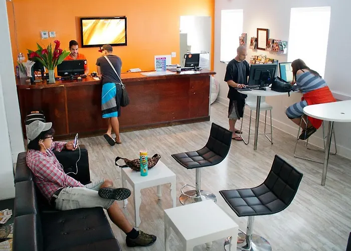 Huisdiervriedelijke Onu Hotel Miami Beach